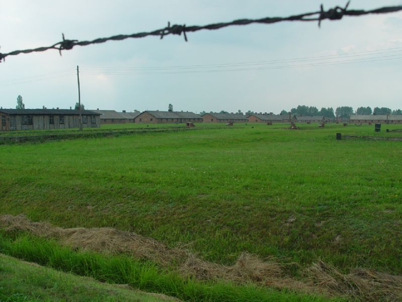 Birkenau wide view